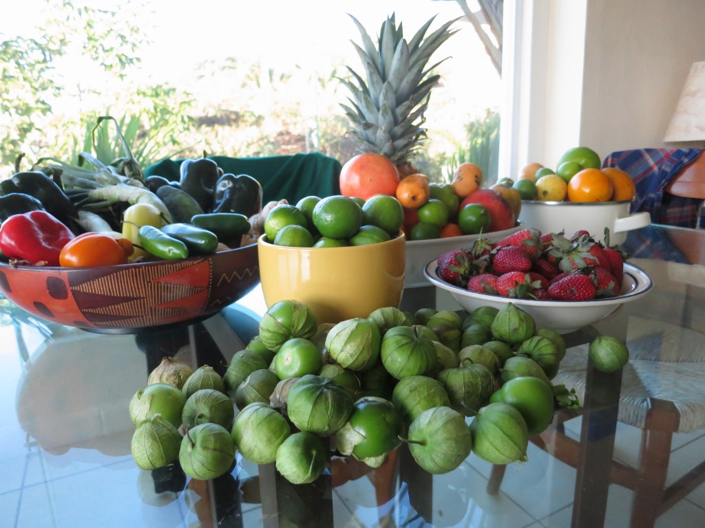 Most of the time in Puerto Vallarta, we opted to cook, buying produce, meats, cheeses and freshly pressed tortillas from stalls around the main marqueta downtown. Salsa verde was an obsession, along with mangos so ripe you could slip off the skins and pink grapefruit that have ruined me for life. Did we mention it was strawberry season?