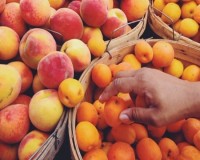 stone fruit Instagram/carolinelange13