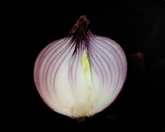 onion Flickr/j.clark