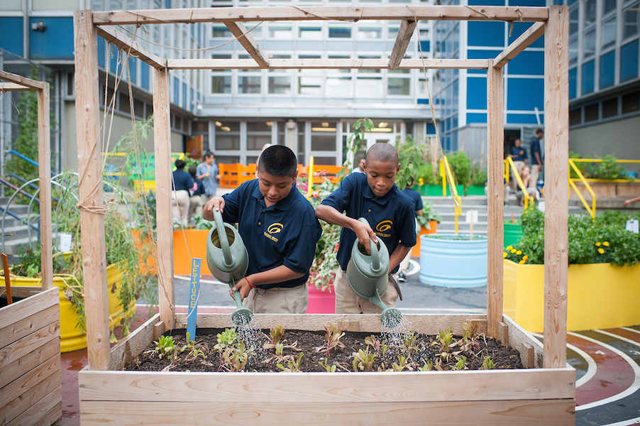 edible schoolyard