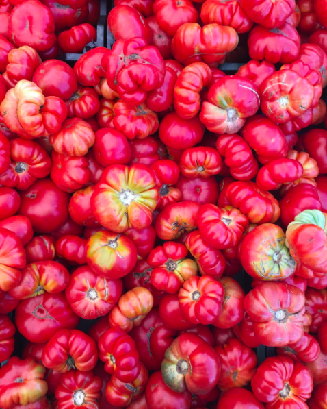 tomatoes grand army plaza