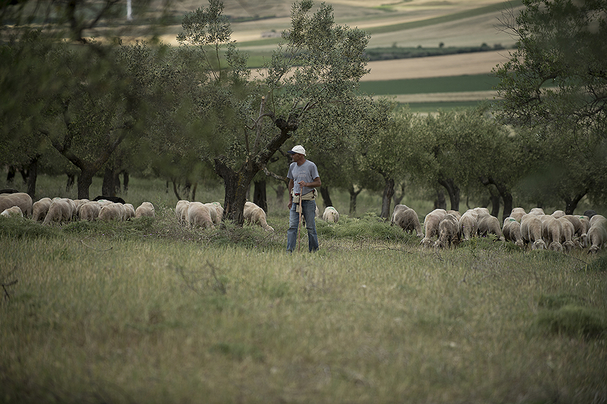 puglia-life_especiallypuglia