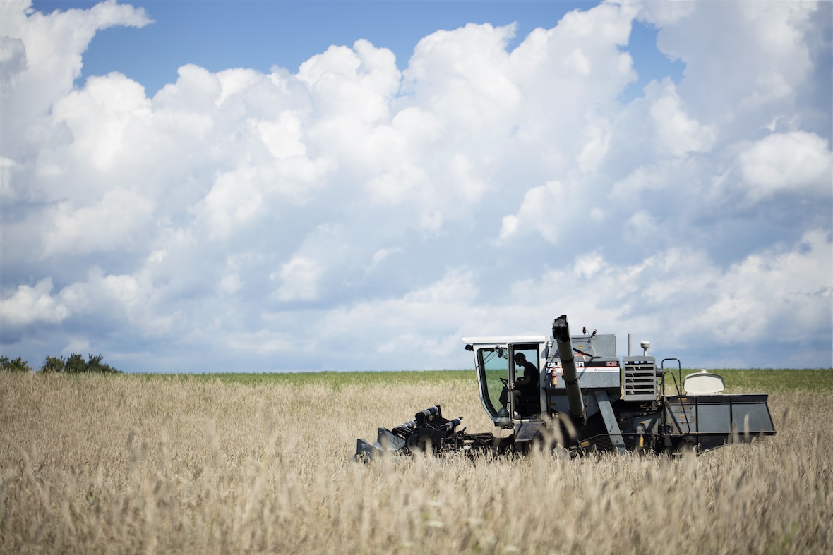 copy-of-2015_sgbleicher_local_grains_hawthorne_valley_030