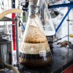 2017_EMedsker_ArcaneFernet_001