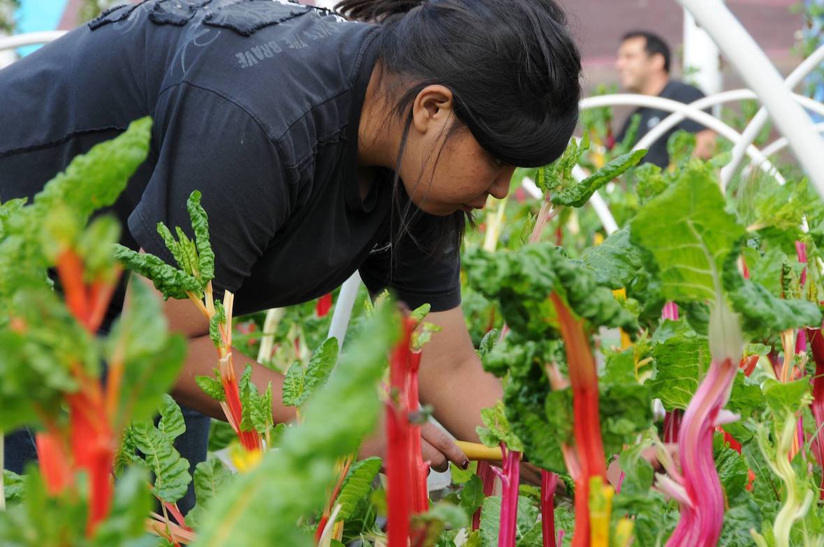 sole food street farms