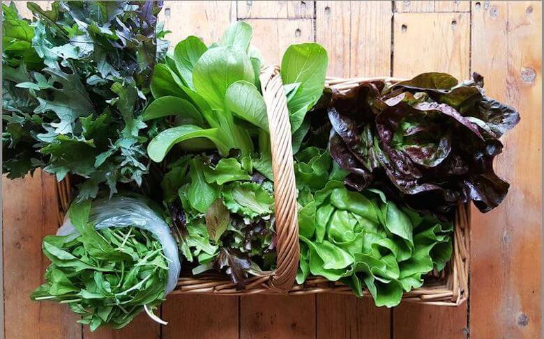 justfoodCSA