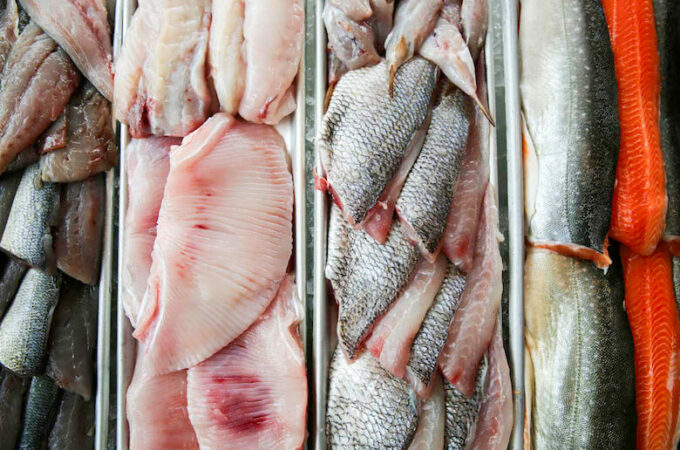 SustainableSeafood_2017_KJuneBurton_03