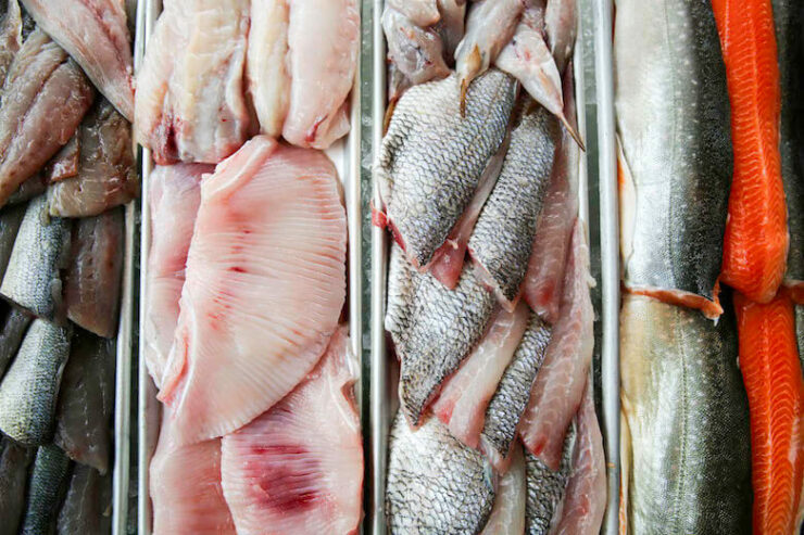 SustainableSeafood_2017_KJuneBurton_03