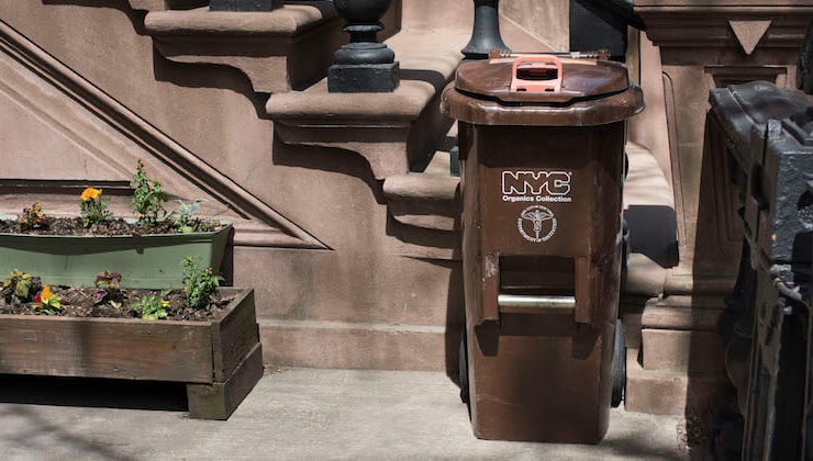 organics bin new york city compost