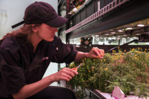 farm one indoor agriculture new york city