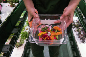 farm one indoor agriculture new york city