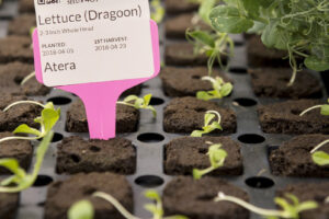 farm one indoor agriculture new york city