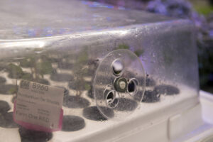 farm one indoor agriculture new york city