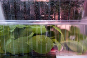 farm one indoor agriculture new york city