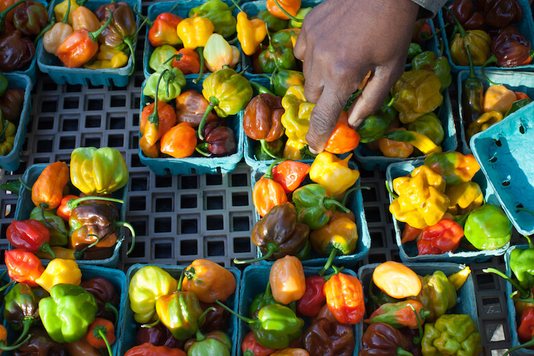 east new york farms