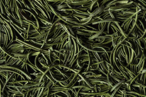 Photo credit: Liz Clayman.