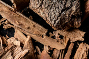 Photo credit: Liz Clayman.