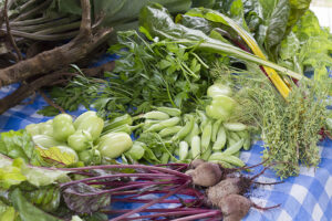 Tehuti Ma'at Community Garden