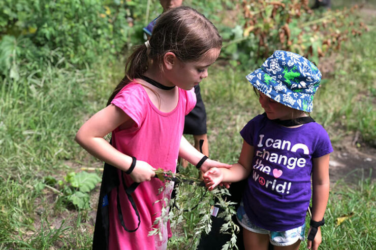plant factory park slope