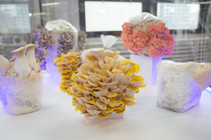 food-loves-tech-2018