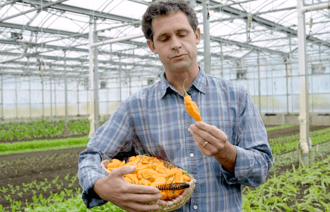 jack algiere habanada edible brooklyn in the field podcast