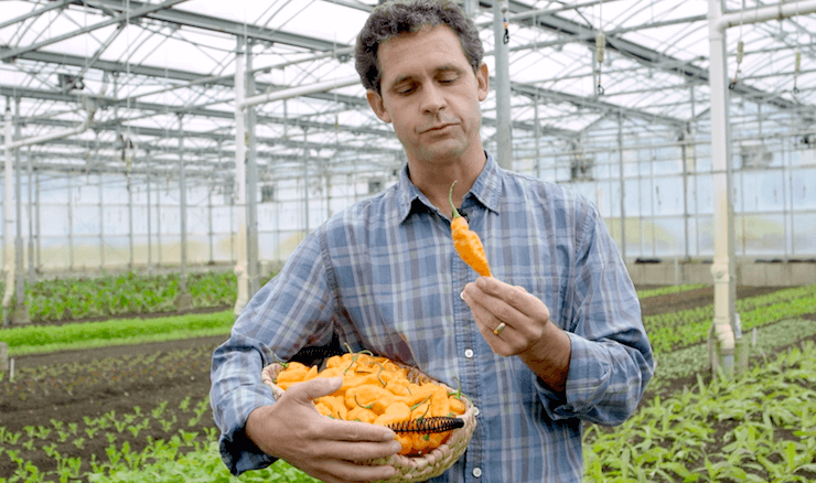 jack algiere habanada edible brooklyn in the field podcast