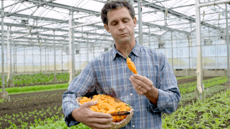 jack algiere habanada edible brooklyn in the field podcast
