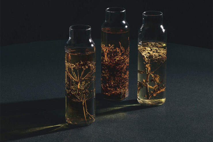 aska-foraging-aquavit