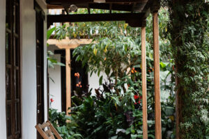 el-albergue-2019_Peru