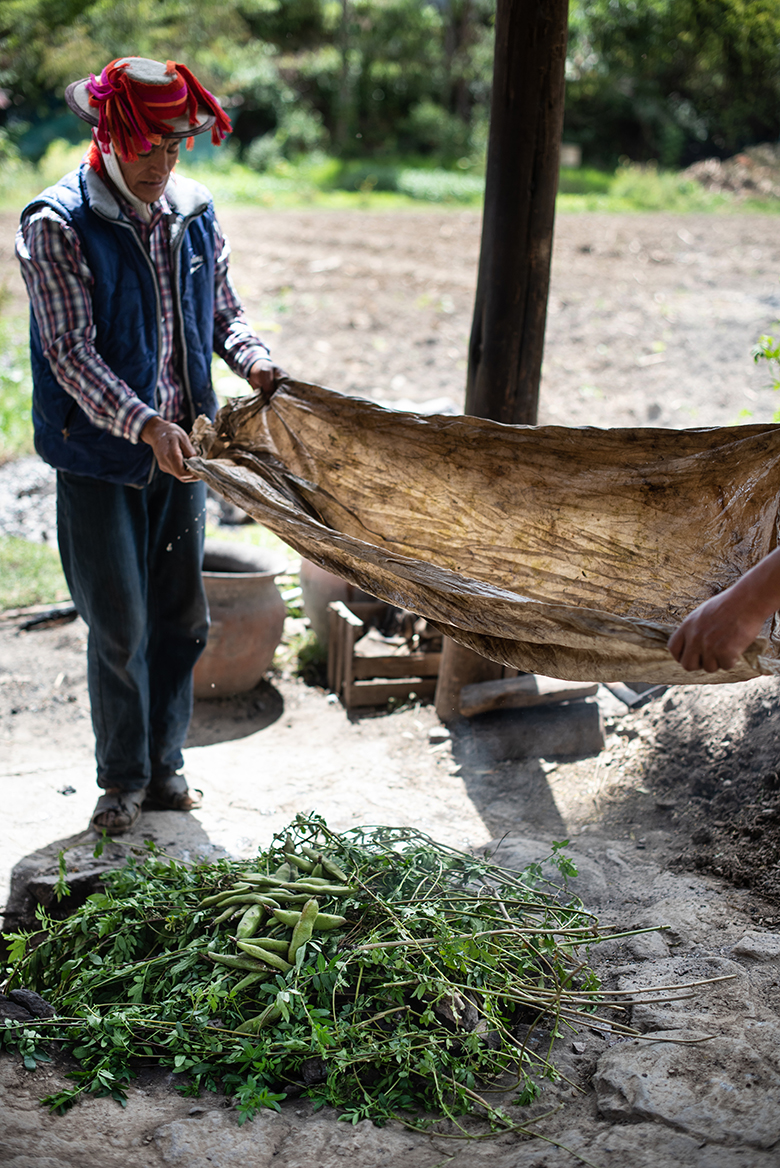 el-albergue-2019_Peru