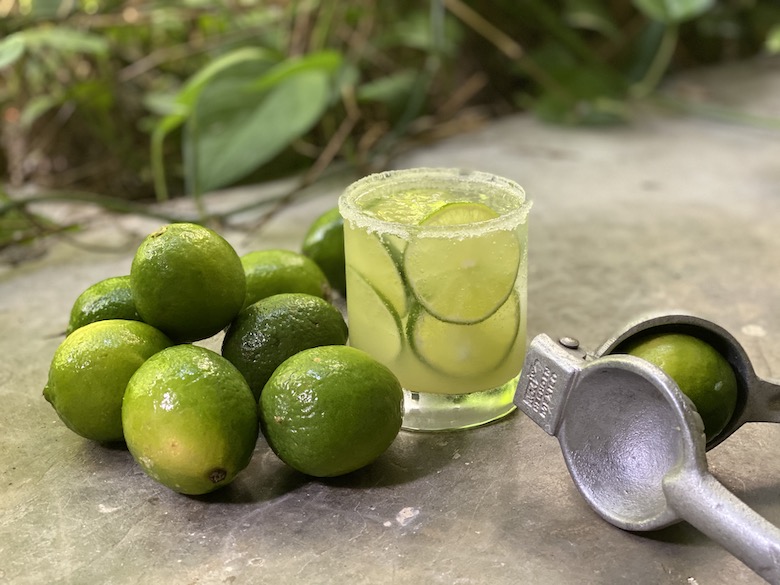 Every Bar in Mexico Serves This Non Alcoholic Cocktail Edible