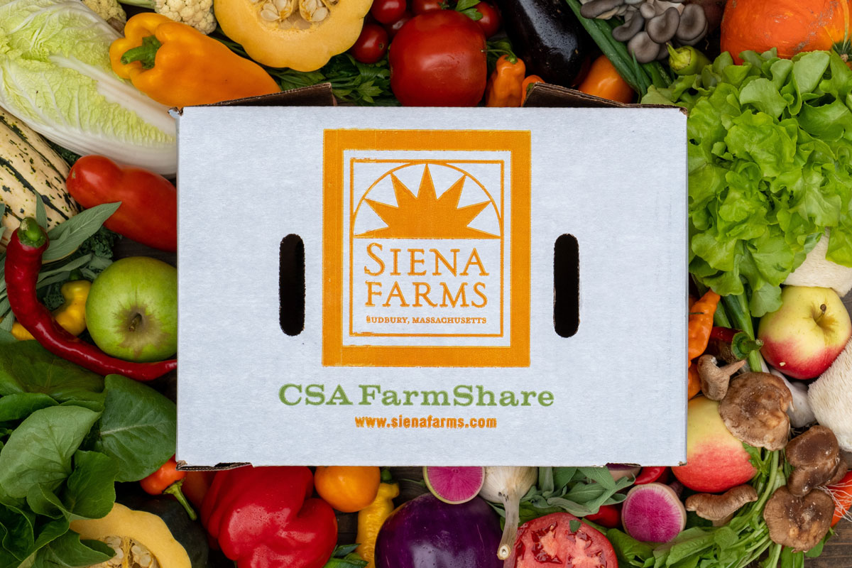 siena farms csa box atop a variety of fresh vegetables